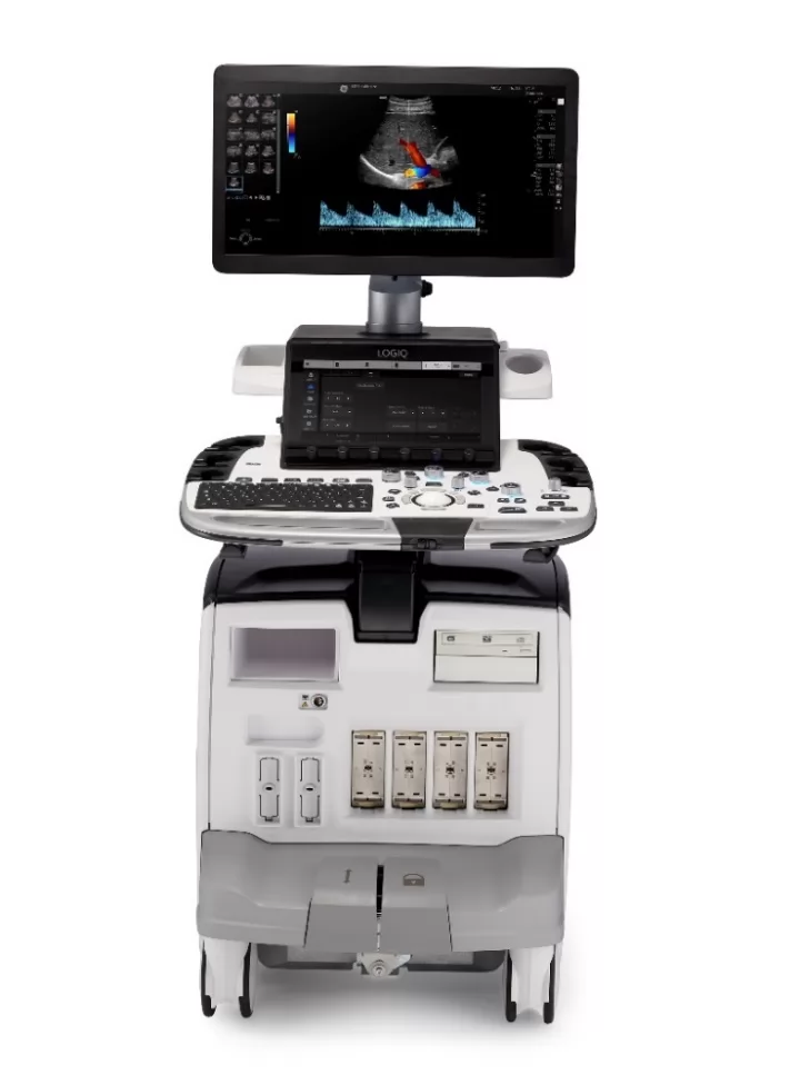 GE LOGIQ E11