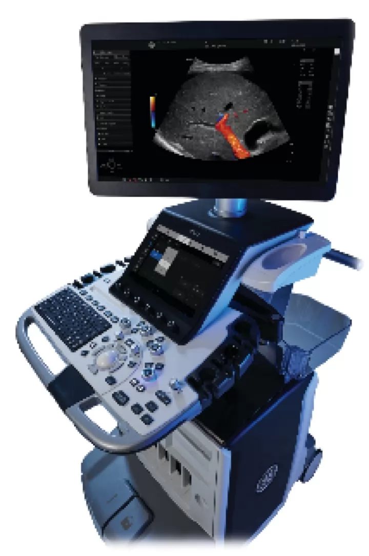 GE LOGIQ E10s