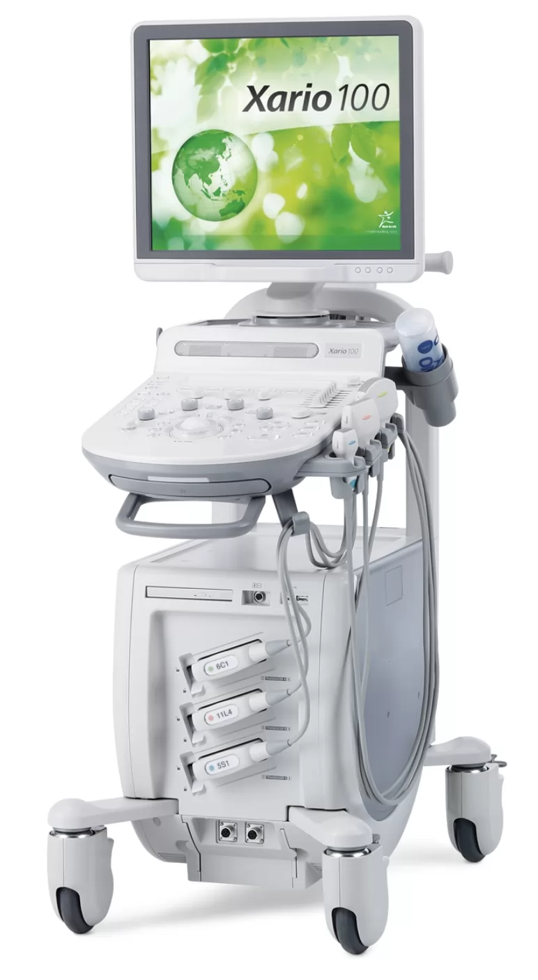 Canon Toshiba Xario 100